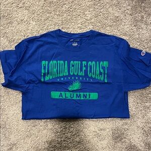 Champion Blue T-Shirt with Green Print